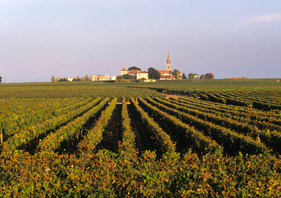Château Vieux Maille